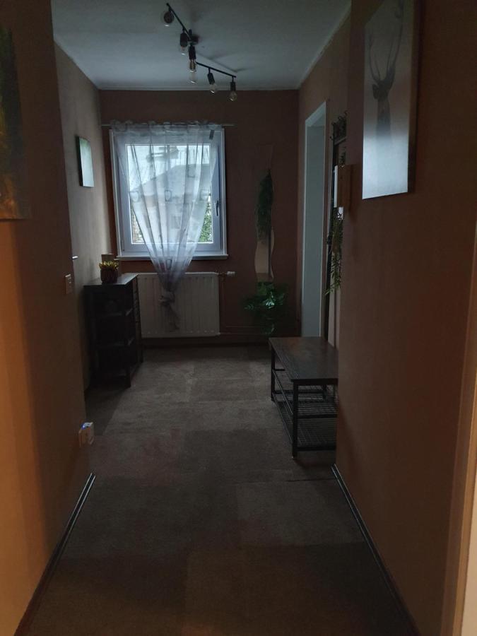 Ferienwohnung Am Siegelbaechle Mit E-Bikes Vermietung Gutach im Breisgau Exterior foto