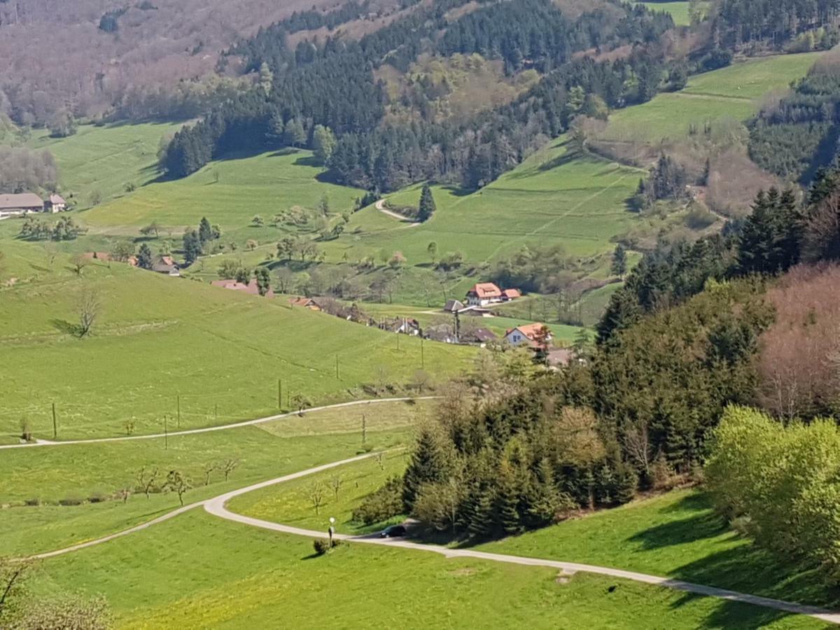 Ferienwohnung Am Siegelbaechle Mit E-Bikes Vermietung Gutach im Breisgau Exterior foto